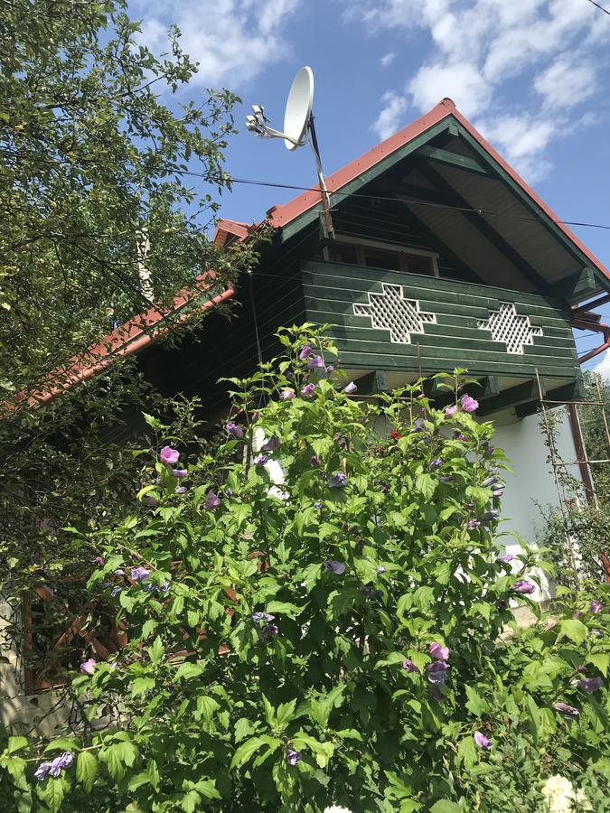 Cottage Shchaslyvyi ยาเรมชา ภายนอก รูปภาพ